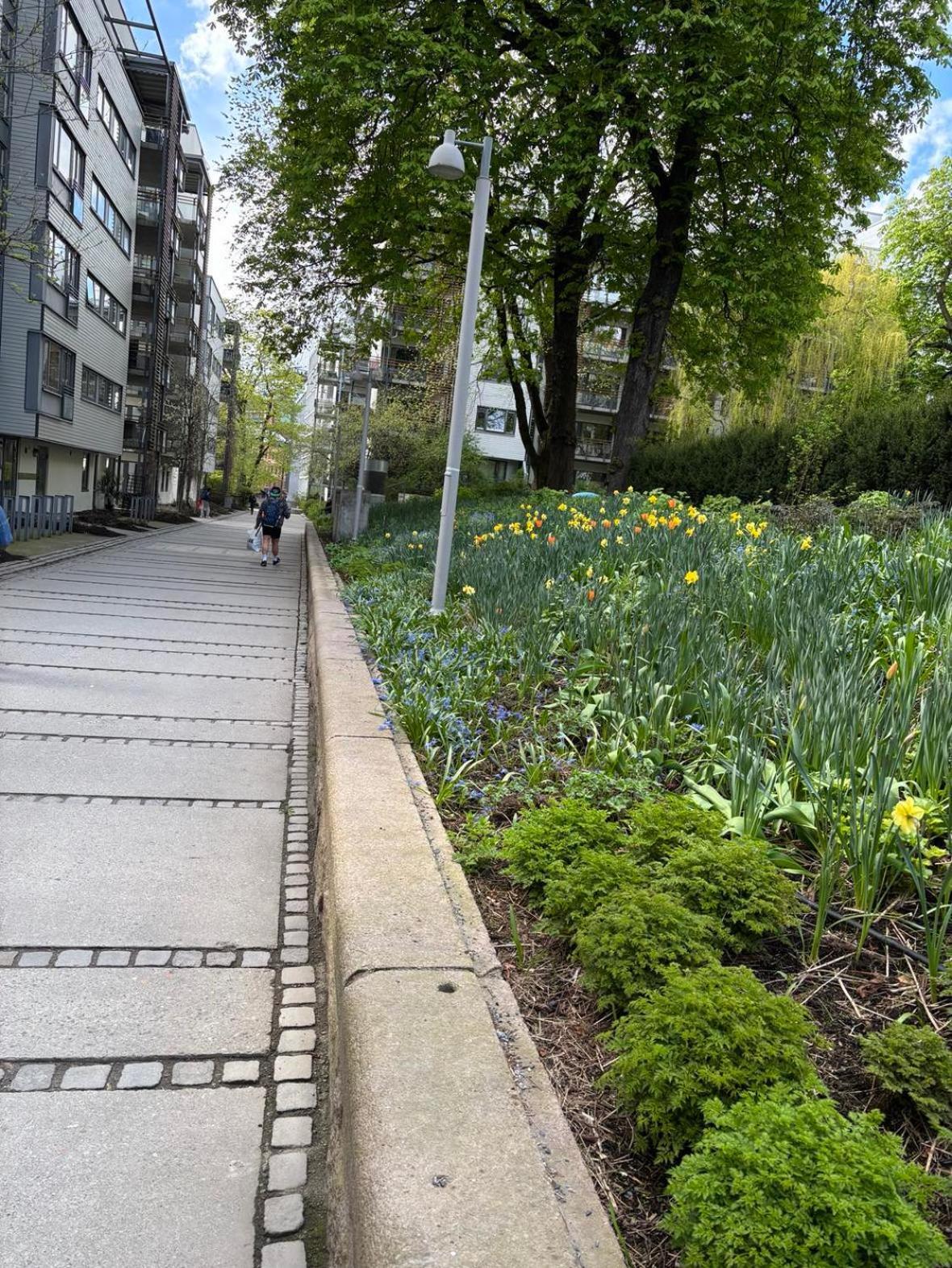 Center Of Oslo, Quiet Area And Close To The Palace Apartment Oslo